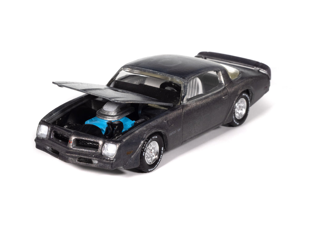"PRE-ORDER" Auto World 1976 Pontiac Firebird T/A Barn Find 1:64 Diecast (DUE LATE JANUARY 2026)