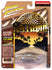 Johnny Lightning 1965 Chevy Impala SS Lowrider (Custom Bronze Poly) (Auto World Store Exclusive) 1:64 Diecast